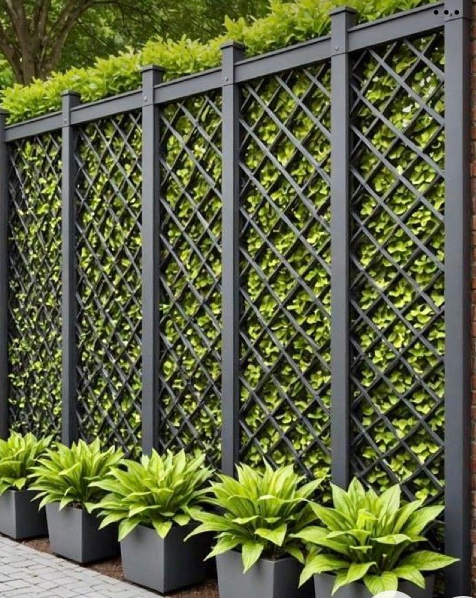 Decorative Steel Fences in Kenya - Image 7