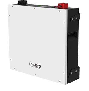 Dyness 5 kWh 48 V Lithium Battery (LV) DL 5.0C